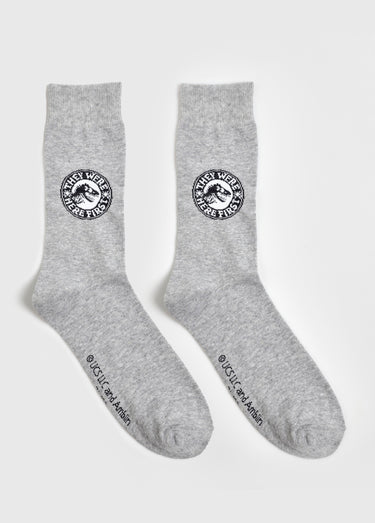 Paire de chaussettes, Jurassic World Gris