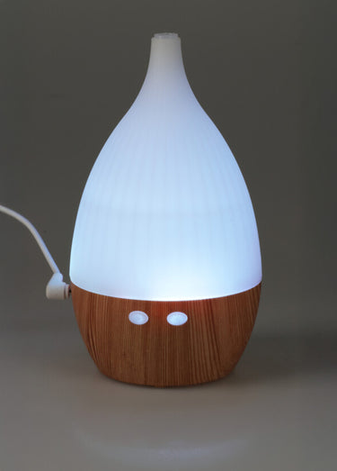 Diffuseur multi couleurs rechargeable USB Blanc