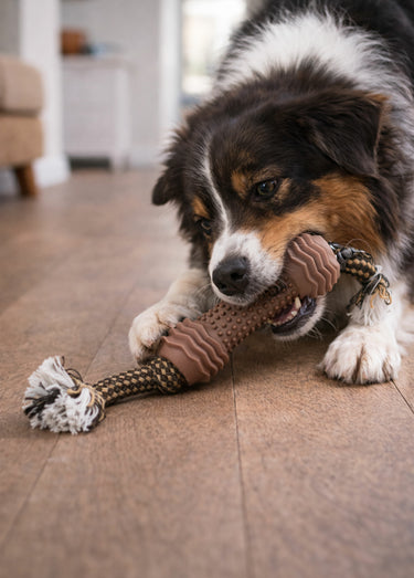 Jouet pour chien, haltère + corde Marron