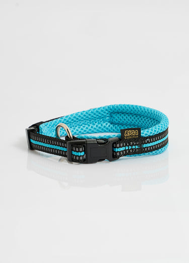 Collier fluo réfléchissant pour chien Bleu