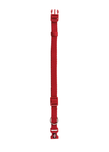 Collier sangle Premium pour chien Rouge