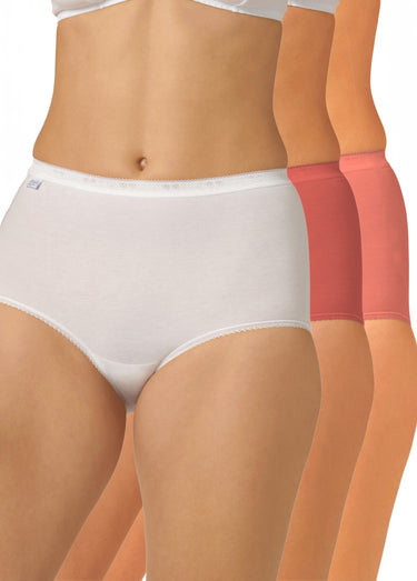 Lot de 3 culottes basic maxi Assortis D - Lot de 3