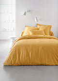 Ocre