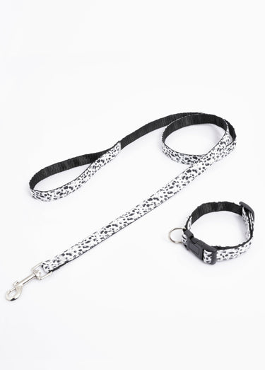 Collier pour chien + laisse léopard Blanc