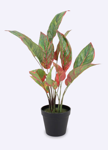 Plante artificielle Aglaonème + pot Noir