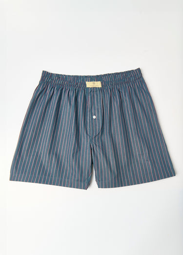 Caleçon en pur coton, imprimé fantaisie Raye Bleu