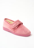 Rose Indien
