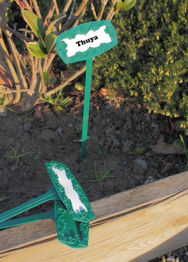 Marque-plantes avec étiquettes pour plantations Vert
