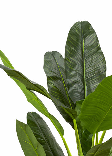Grande plante artificielle, bananier Vert