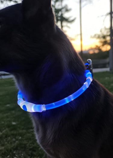 Anneau lumineux flash USB pour chien Bleu