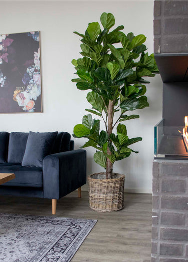 Plante artificielle XXL type figuier Vert