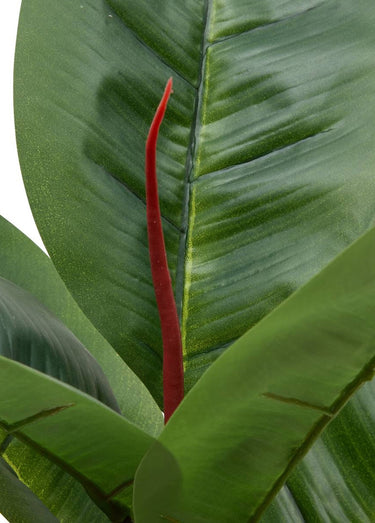 Plante artificielle Ficus robusta + pot Vert