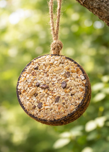 Demi noix de coco arachides pour oiseaux Naturel