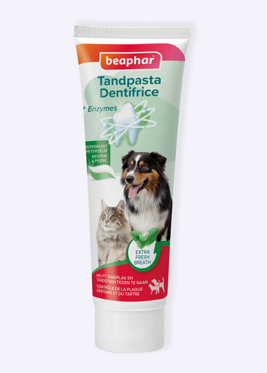 Dentifrice extra frais Menthe chien/chat Blanc