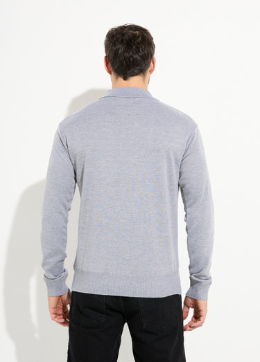 Pull maille fine avec laine et col polo Gris Clair