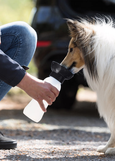 Gourde avec gamelle pour animaux Noir