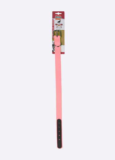 Collier fantaisie pour grand chien Rose