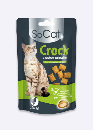 Gourde friandise liquide chat maxi pack Urinaire