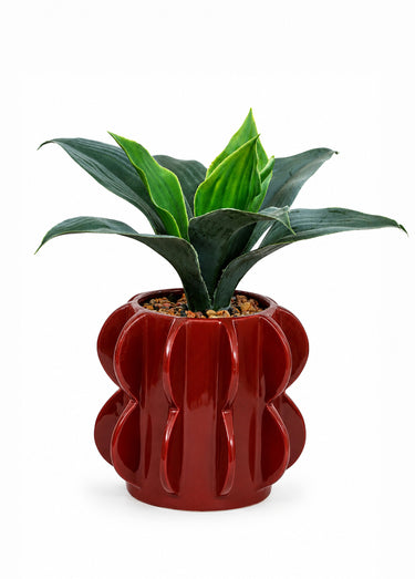 Plante artificielle pot céramique HOMY Orange