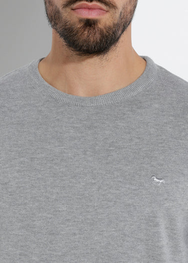 Pull fin coton, col rond manches longues Gris Clair