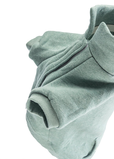 Sweat shirt en polycoton, pour chien Menthe