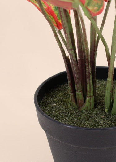 Plante artificielle Aglaonème + pot Noir