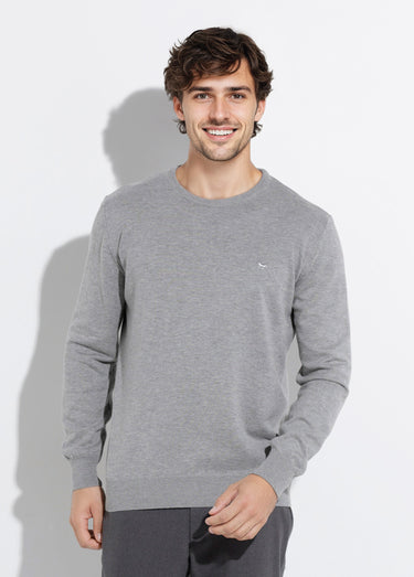 Pull fin coton, col rond manches longues Gris Clair