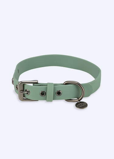 Collier en PVC CITY STYLE pour chien Sauge