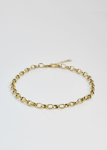 Collier acier inox, maille forçat ovale Dore