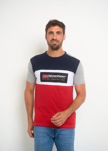 T-shirt tricolore logo poitrine Gris