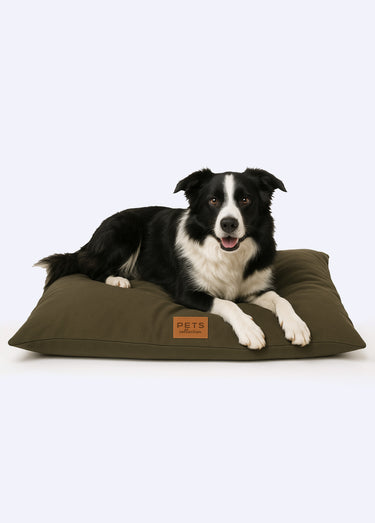 Coussin rectangulaire tissu pour animal Marron