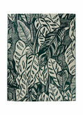 Monstera