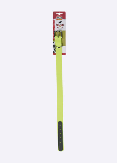 Collier fantaisie pour grand chien Jaune