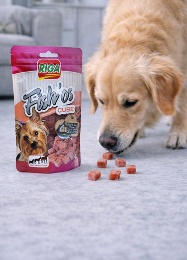 Friandises cubes au poisson, pour chien