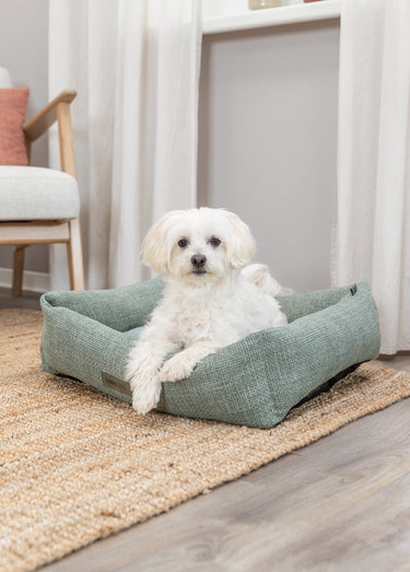 Lit bord tissu VIVIANA, pour animaux Bleu / Gris