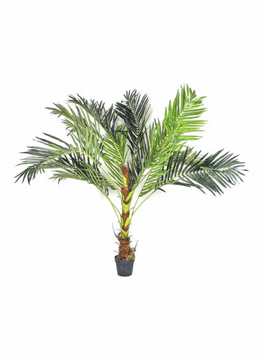 Grande plante artificielle palmier Vert / Marron