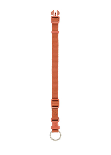 Collier sangle Premium pour chien Rouille