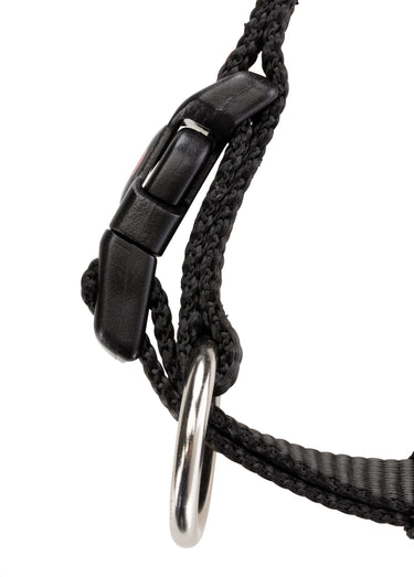 Collier sangle Premium pour chien Noir