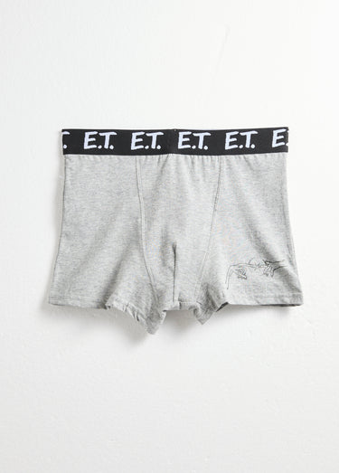 Boxer avec licence E.T. Gris Fonce