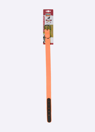 Collier fantaisie pour grand chien Orange