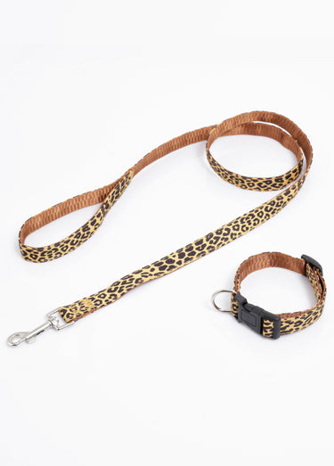 Collier pour chien + laisse léopard Jaune