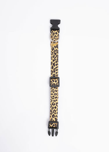 Collier pour chien + laisse léopard Jaune