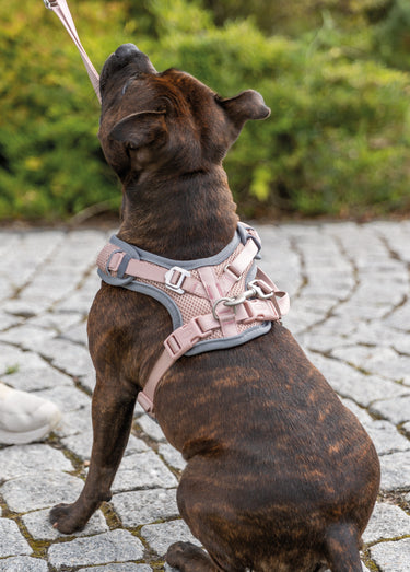 Harnais pour chien Premium FLEX MESH Blush
