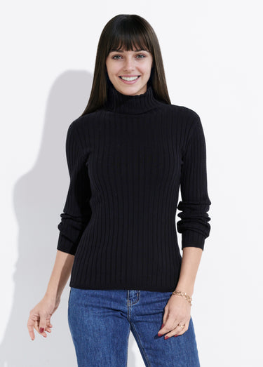 Pull col roulé fin, mailles plates Noir