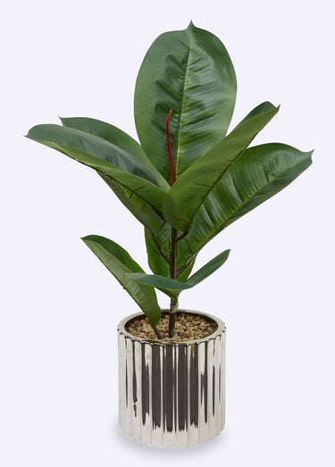 Plante artificielle Ficus robusta + pot Vert