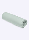 Celadon