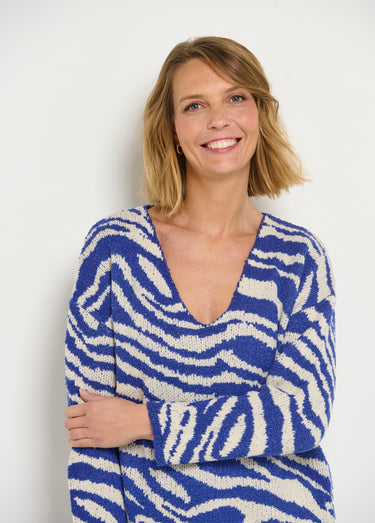 Pull col V maille mousseuse motif zèbre Bleu / Blanc
