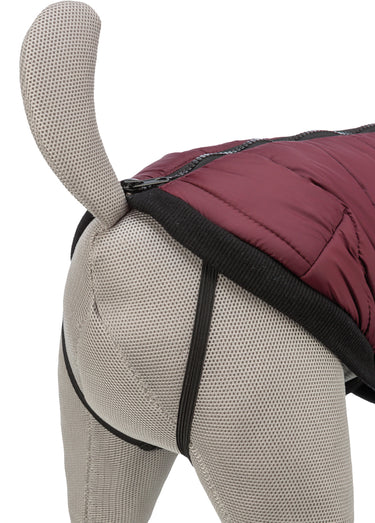Manteau chaud avec harnais, pour chien Sangria