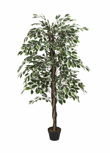 Plante artificielle feuillage panaché Vert
