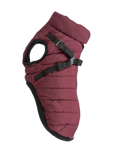 Manteau chaud avec harnais, pour chien Sangria